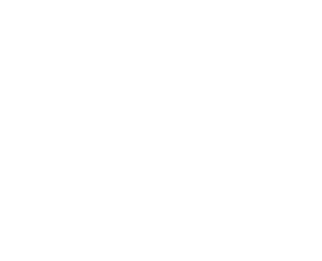 Logo Weseite SPRIT RAAAW